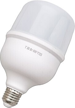 Фото Brille LED E27 30W NW T (33-758)