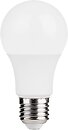 Фото Grunhelm Long-Life R2.0 A60 7W 65K E27 (149187)
