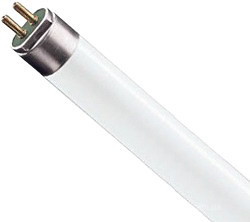 Фото Osram T5 FH 14W/840