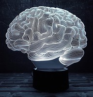 Фото 3D Toys Lamp Мозок