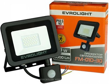 Фото Евросвет FM-01D-30 30W 6400K IP65 (000057052)