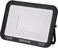 Фото Maxus FL-01 100W 5000K (1-MFL-01-10050)