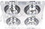 Фото Brille HDL-G141/4 CL Crystal