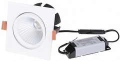 Фото Brille LED-41/15W COB CW DL