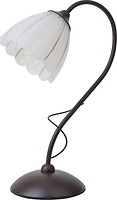 Фото Brille LK-679T/1 BK+FG
