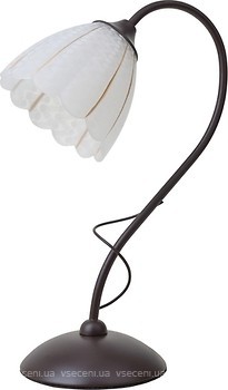 Фото Brille LK-679T/1 BK+FG