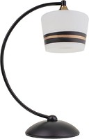 Фото Brille LK-708T/1 E27 BK+FG