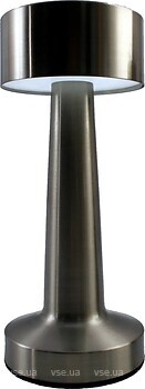 Фото Esllse Down Light 2W Silver (10317)