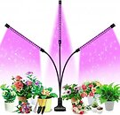 Настольные лампы и светильники GrowLight