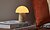 Фото Gingko Mini Alice Mushroom (G022AH2)