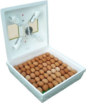 Фото Квочка МИ-30-1-С на 70 яєць (ручний, електричний)