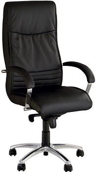 Фото Nowy Styl Ostin Steel MPD chrome шкірзам