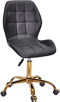 Фото Onder Metal Phil GD-Office шкірзам