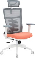 Фото OfficePro Balance OC550