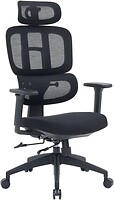 Фото OfficePro Skyline OC580