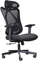 Фото ART Director (CHART CH-01)