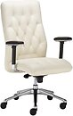 Фото Nowy Styl Chester R23P2 Steel28 Chrome ES шкірзам