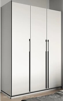 Фото Flamecame FR-15