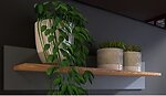 Полиці настінні для вітальні Эверест (Omni Home)