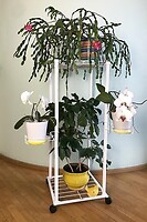 Фото BeStand Манхэттен 80 белая