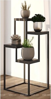 Фото Step Loft Stand-Flower-308
