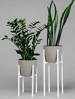 Фото Step Loft Stand-Flower-317