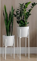 Фото Adore Decor Британські (BRwK)