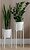 Фото Adore Decor Британские (BRwK)