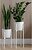 Фото Adore Decor Британские (BRwK-gW25)