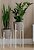 Фото Adore Decor Британские (BRwK-gM25)