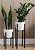 Фото Adore Decor Британские (BRbK)