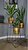 Фото Adore Decor Скандинавские (SKbK)