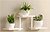 Фото Step Loft Stand-Flower-316