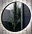 Фото Liberta Viano 60x60
