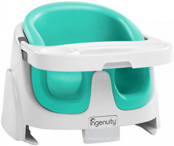 Фото Bright Starts Ingenuity Baby Base 2 in 1