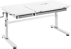 Фото HiSmart E702