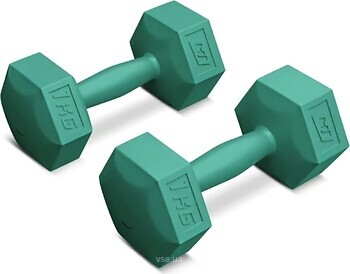 Фото Hop-Sport Гантель композитна 2х1 кг (HS-C010DS)