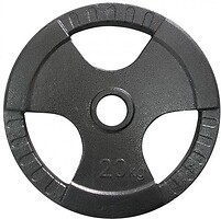 Фото Newt Диск металлический 20 кг (TI-30-20)