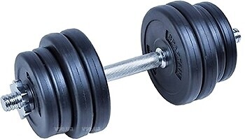 Фото Spartan Sport цементна гантель 15 кг