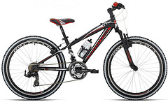 Фото Bottecchia Boy 21S 24