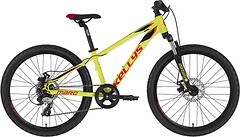 Фото Kelly's Marc 50 24 (2020)