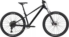 Фото Cannondale Habit HT 3 29 (2025)