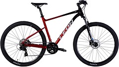 Фото LEON TN-100 29 (2025)