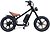 Фото Rooder CB-01a 48V 20Ah 1000W 20