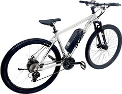 Фото Dyna 750W 48V 29