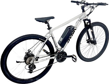 Фото Dyna 750W 48V 29
