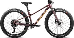 Фото Orbea Kimu H10 24 (2027)