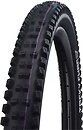 Фото Schwalbe Tacky Chan HS 625 29x2.40 (62-622) Evo Super Gravity TLE B/B-SK