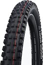 Фото Schwalbe Magic Mary HS 447 29x2.60 Super Gravity Addix Soft TLE