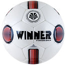М'ячі Winner